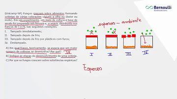 Em que frasco teoricamente se espera que um maior número de colônias se desenvolva por que B porque os fungos crescem sobre substratos orgânicos?