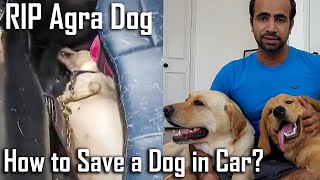 Car me Fase Dog ki Jaan Kaise Bachaye? Dog Dies in Locked Car in Agra by Furry Friend 26,885 views 9 months ago 4 minutes, 41 seconds