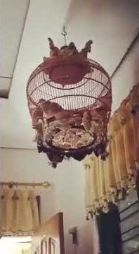 TERKUKUR atau DERKUKU KUK 9