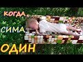 ПОКА Я ЗАНИМАЮСЬ СВОИМИ ДЕЛАМИ/ Все самостоятельные занятия Серафима!