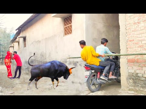 Must Watch Top New Special Comedy Video 😎 Amazing Funny Video 2023 Episode 18 By @CSBishtVines
