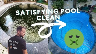 This green pool hadn’t been used for over a YEAR! Satisfying pool clean!
