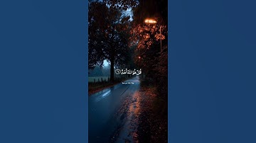 سورة الأخلاص || برواية خلف عن حمزة #خلف_عن_حمزة