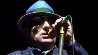 Watch Van Morrison Three Chords And The Truth video