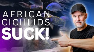 5 Shocking African Cichlid Problems You NEED to Know