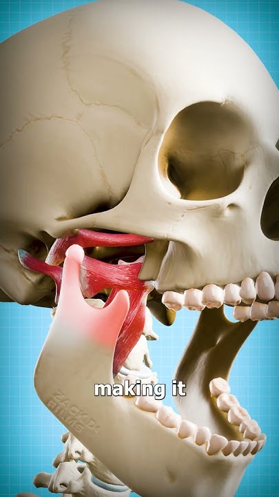 how-to-fix-a-dislocated-jaw-youtube