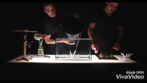 Diffusion (ink in water) The most satisfying video of all time.....