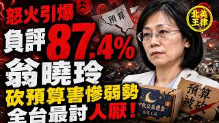 【Outrage Erupts】Negative Sentiment Skyrockets to 87.4%! Weng Hsiao-ling Guts Budget, Hurting the ...