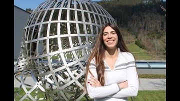 Chiara Amorino - Minimax rate for multivariate data under componentwise local differential privacy