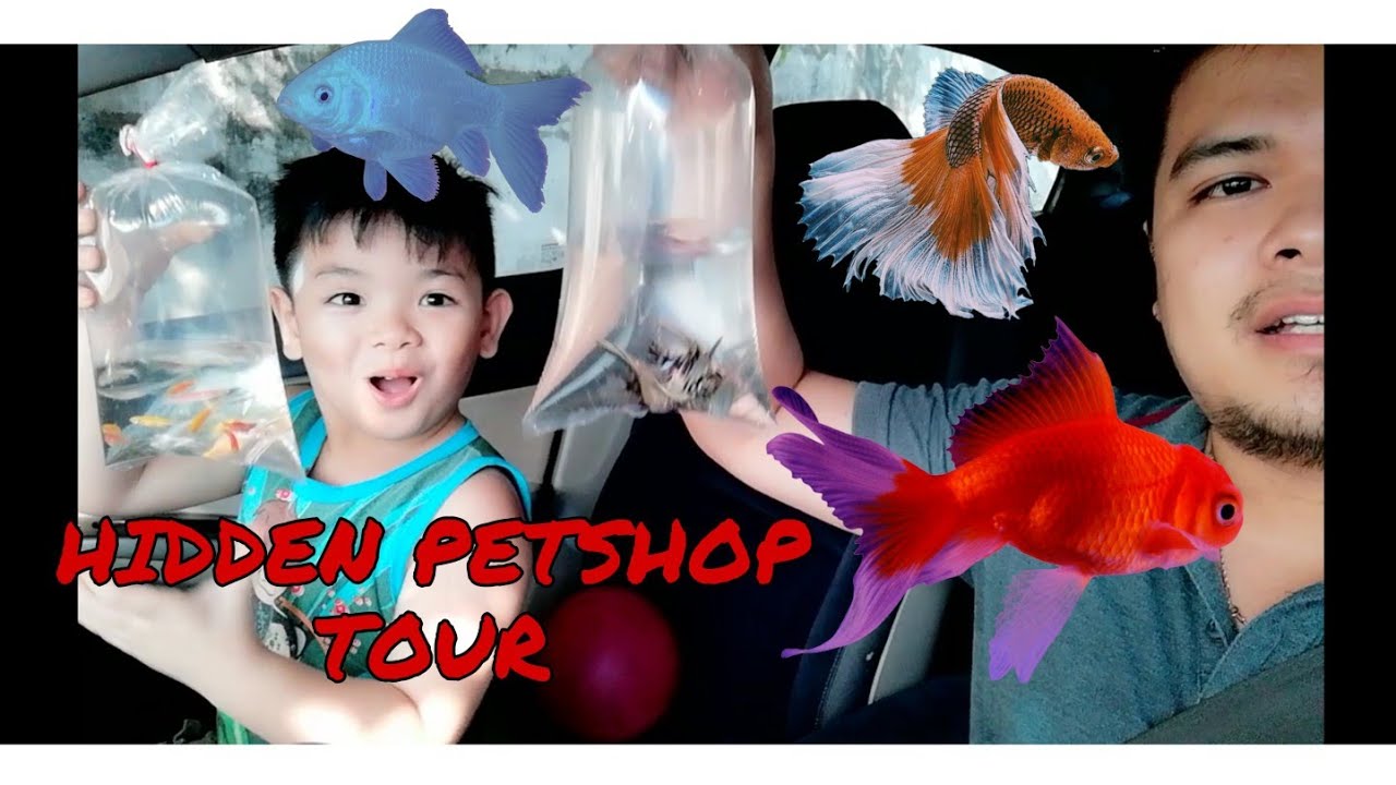 TOUR MARIKINA CITY HIDDEN GEMS FISH SHOP IN MARIKINA CITY