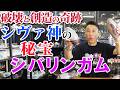シヴァ神の秘宝 シバリンガム 破壊と創造の奇跡【Shiva Linga】