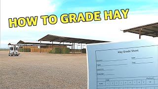 How to Grade Hay