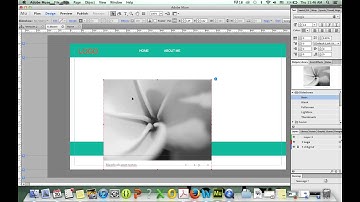 Quick Simple Adobe Muse CC Tutorial