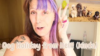 dog holiday from hell by Cece Canino My Life With Dogs 28 views 6 months ago 8 minutes, 23 seconds