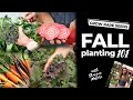 FALL GARDENING HOW-TO | Fall Planting 101