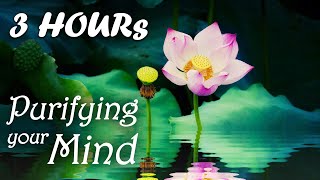 THIS MUSIC WILL PURIFY YOUR MIND ⭐ Yoji Water Purification ⭐ Buddhist Meditation Music, Buddha Music screenshot 4