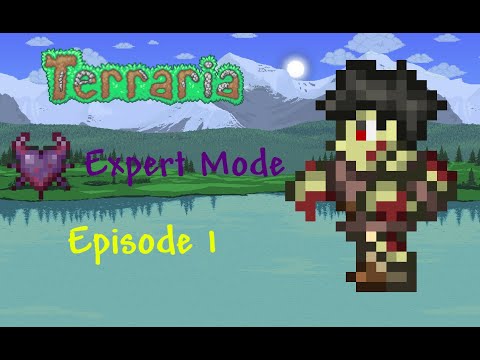 Getting Started | Expert Terraria Let's Play | Episode 1 (contains ...