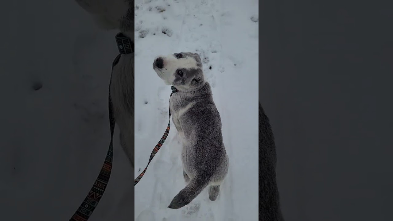 ДЕНЬ #4.УТРЕННЯЯ ПРОГУЛКА. 