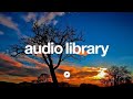 Cylinder Two – Chris Zabriskie (No Copyright Music)