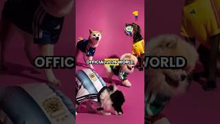 🐕🔥 Your Pet Could Be Wearing Colombia’s 2026 World Cup Jersey Before You