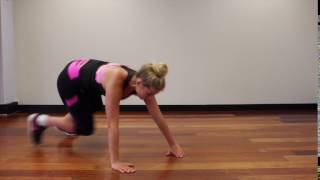 Cross Kick  Reverse Plank