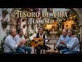 Tesoro de Vida | Flamenco