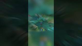 Ngetroll Tim 1 Tim Ngetroll Ngepick 5 Mage