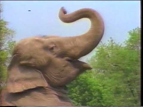 The New Baltimore Zoo commercial (1988?, partial)