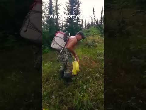 грабли от "сбора ягод"