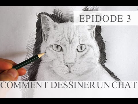 Comment Dessiner Un Chat Technique Simple Tutoriel Episode3 Youtube Comment Dessiner Un Chat Technique Simple Tutoriel Episode3 Youtube