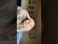 New video from @real.rory #Shorts #real.rory