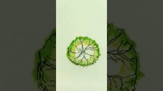 TREE 🌳 TOP VIEW Drawing #art #archscapez  #howtodraw #shortsfeed #shortvideo #shorts