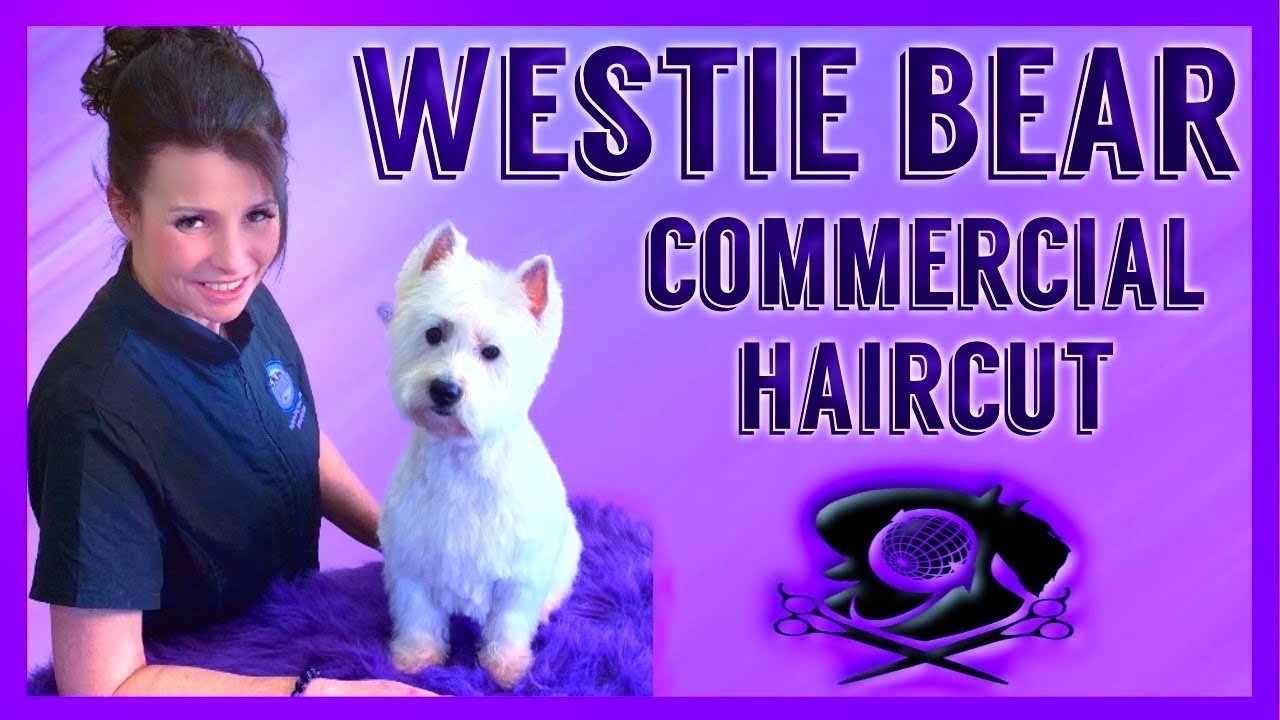 best dog grooming clippers for westies