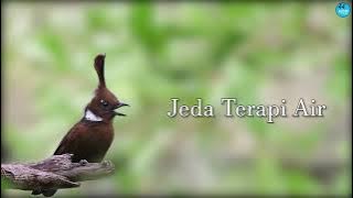 MASTER CILILIN   Jeda Terapi Air
