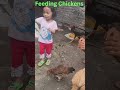 First Time Feeding Chickens | Toddler’s Farm Adventure with Grandpa 🐥🌾🏡 