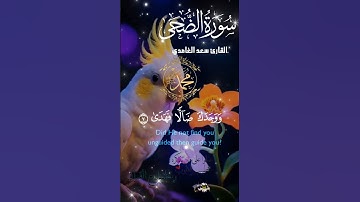 تلاوة خاشعة عطرة مباركة جميلة عذبة للشيخ سعد الغامدي سورة الضحى