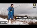 Ловля щуки  ранней весной на джиг в малой реке. С. Балашов. Anglers Practical