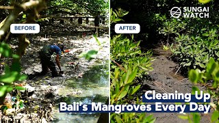 Cleaning Up Bali's Mangroves For 2 Years