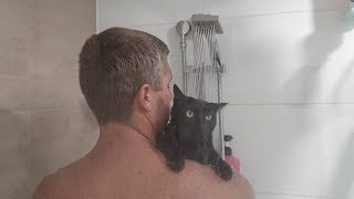 Cat Loves Having A Shower With Her Humans