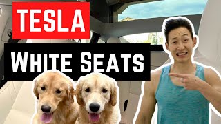 White Tesla Seats after 1 YEAR & 3 Dogs (DO I REGRET  IT & Tesla Pet Seat Cover Review)