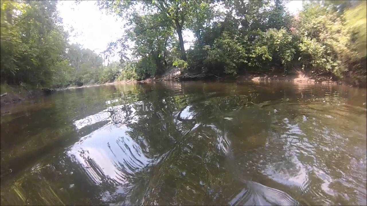 Ottawa River Carp on the Fly Underwater Footage YouTube