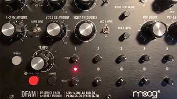 Daily Techno Production: Making A Loop With Moog DFAM!