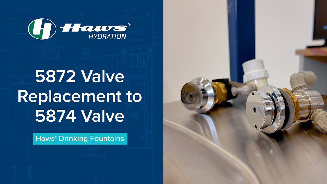 VRK5872 - Valve Repair Kit - Haws Co