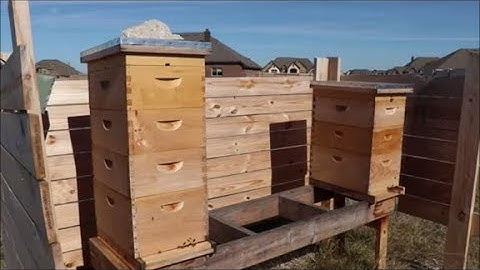 Langstroth Hive Introduction