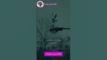 #استخاره_قرآنی #راحة_نفسية #ايات_قرانيه_قصيره #القارئ #الرقية_الشرعية #القرآن_الكريم #صوت_جميل
