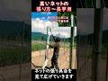 高いネットの張り方(長芋用)ショート動画:2026年版