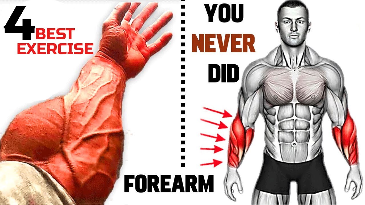 "Unleash Your Forearm Power 4 Essential Exercises for Developing Strong and Ripped Forearms