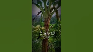 سورة الإخلاص 😍 #coran #اكسبلور #hadith #duet #azkar #حالات_واتس #religion #quran #دويتو #تيك_توك