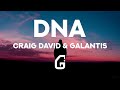DNA Craig David Galantis Lyrics mp3