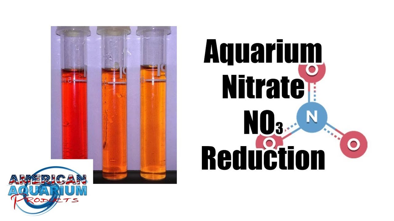 aquarium nitrate reduction ammonia nitrite nitrate youtube